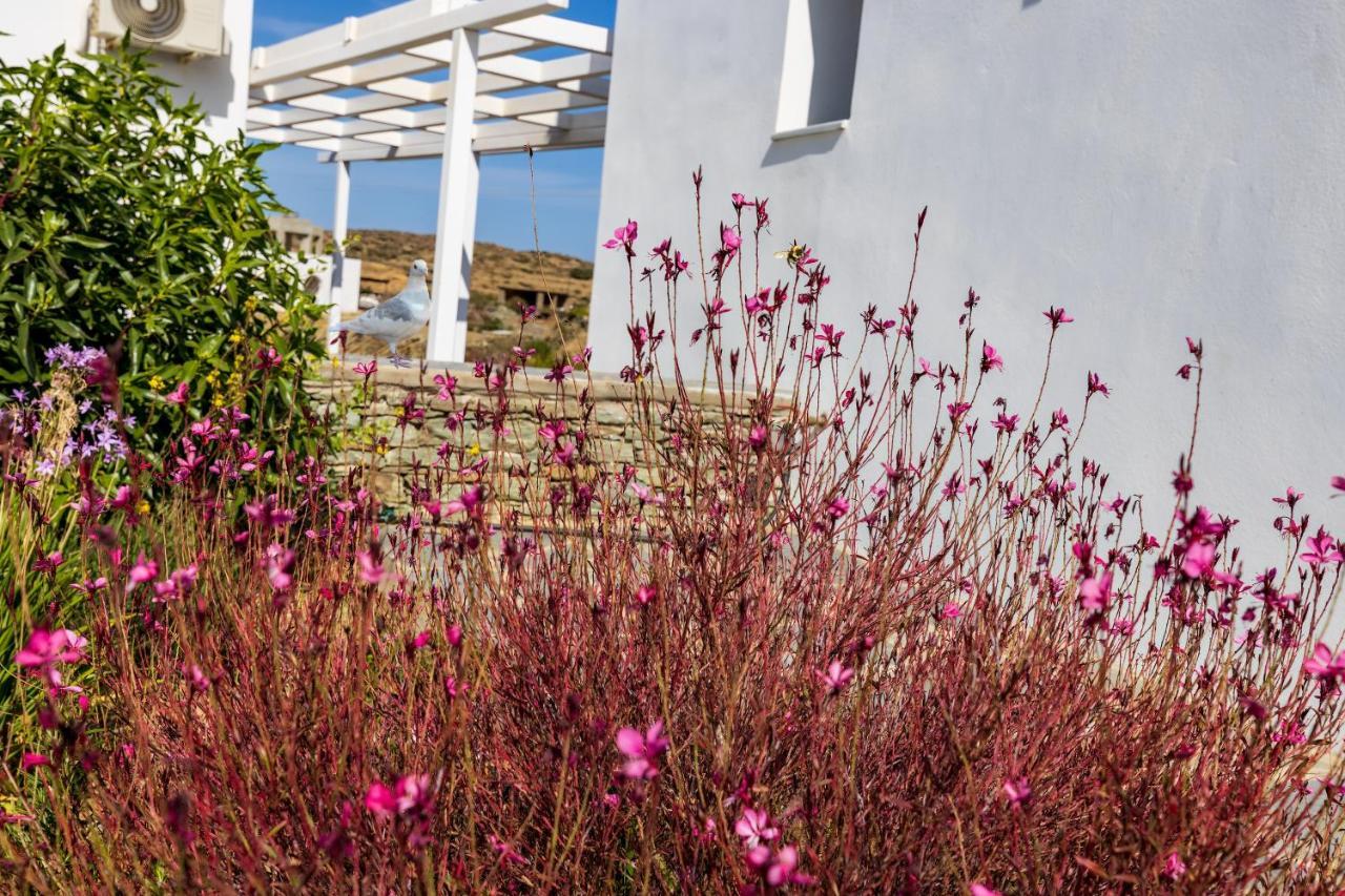 Apartment Resort Sifnos Fáros Exteriör bild